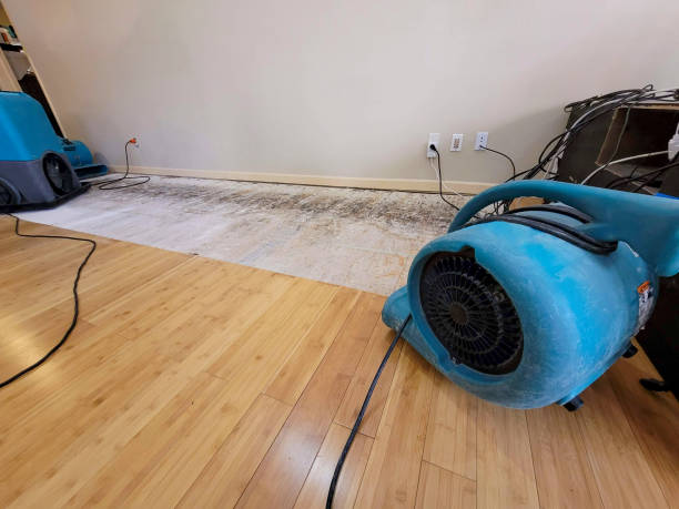Professional Structural Drying technician working in Whiteford, MD